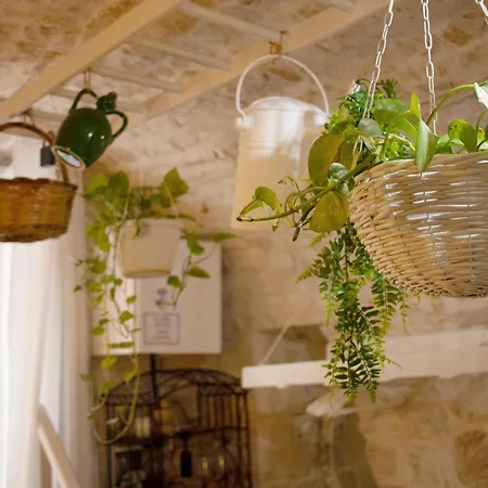 La Cantina Guest house